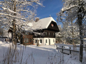 Dachstein Chalet Goisern